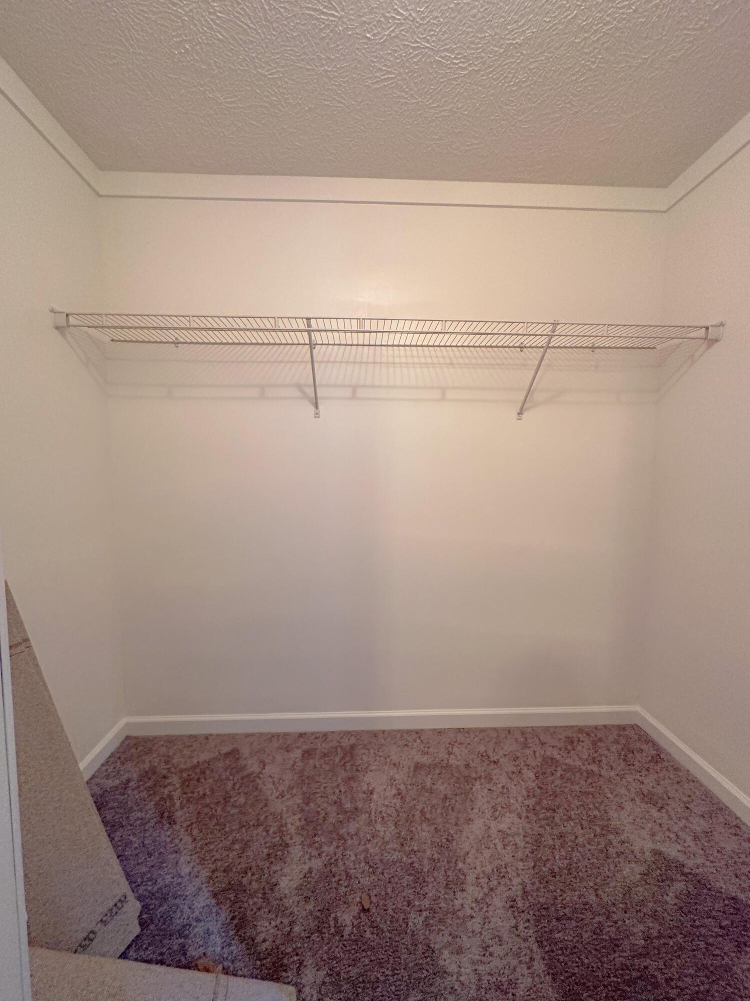 1745 Sandridge Road Dorchester, SC 29437 - Photo 31 of 59 B7EC175E-8BED-4D6E-831C-305A110AE1F5