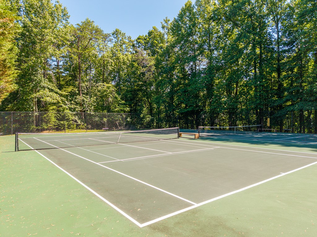 775 Mountain Oak Road Ellijay, GA 30536 - Photo 88 of 106 Amenities