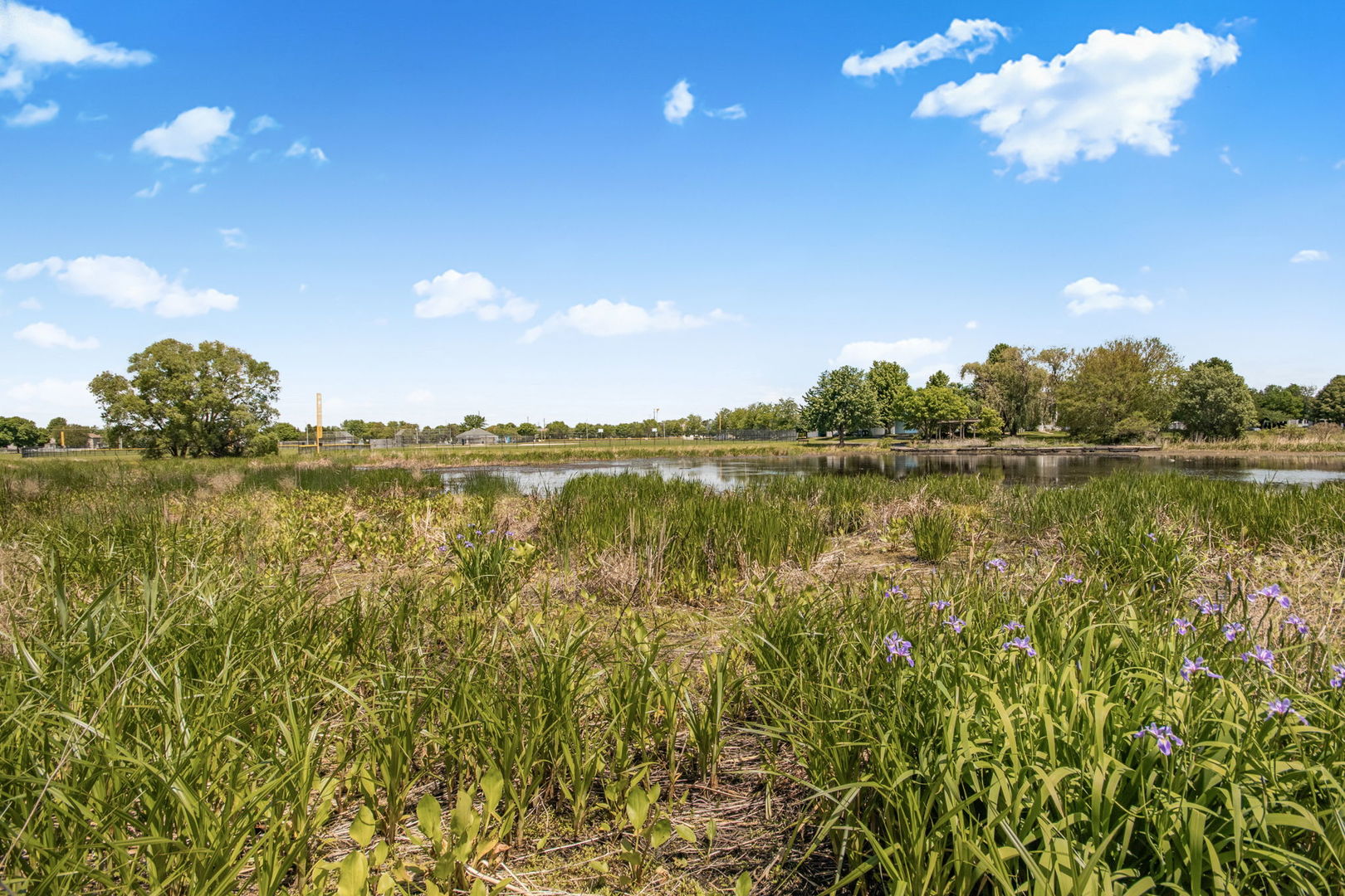 59 Freesia Court Romeoville, IL 60446 - Photo 42 of 63