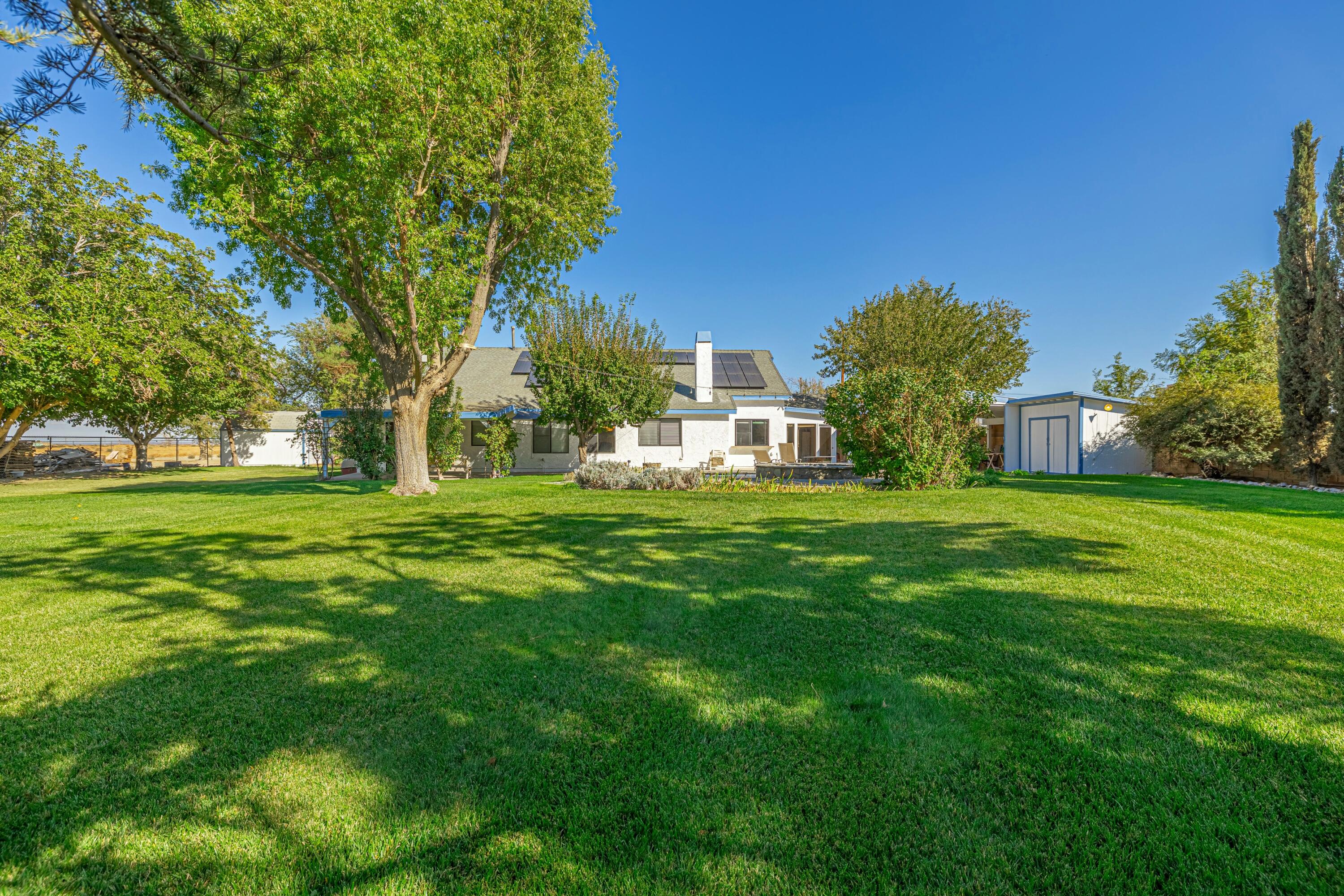 43233 55th Street East Lancaster, CA 93535 - Photo 39 of 46 a view of garden with trees