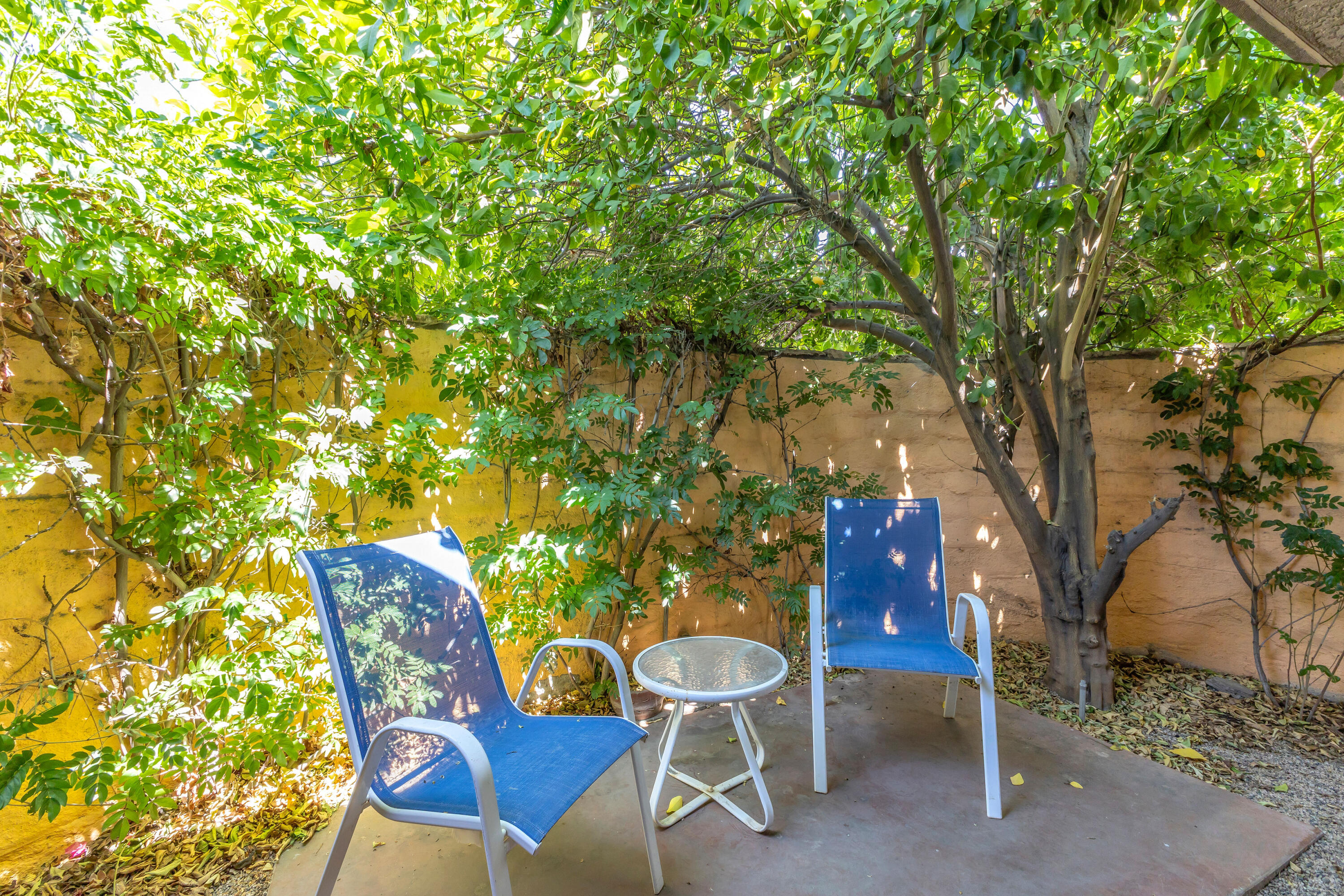 6 Stanford Drive Rancho Mirage, CA 92270 - Photo 40 of 67 IMG_2983