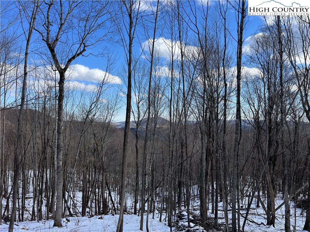 69 Poplar Forest Drive Boone, NC 28607 - Photo 12 of 18 a view of outdoor space with a street
