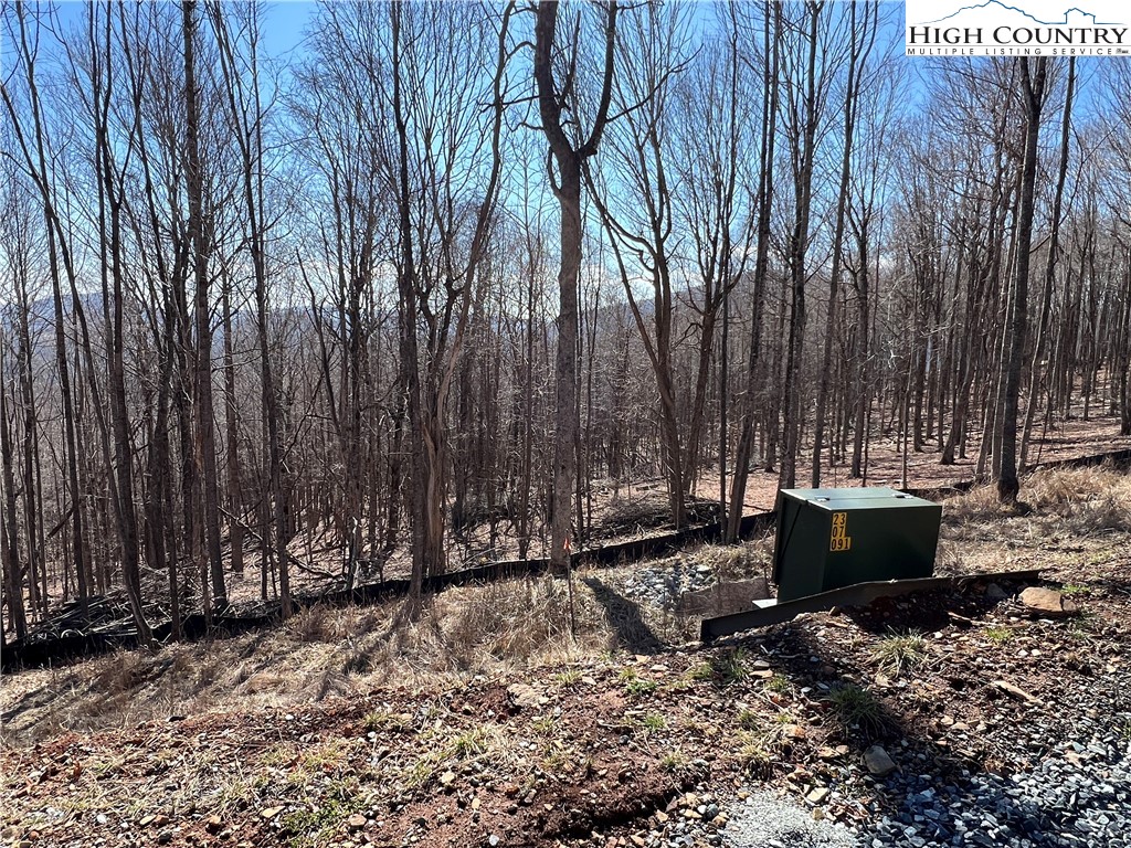 69 Poplar Forest Drive Boone, NC 28607 - Photo 15 of 18 a view of a backyard with large trees and wooden fence