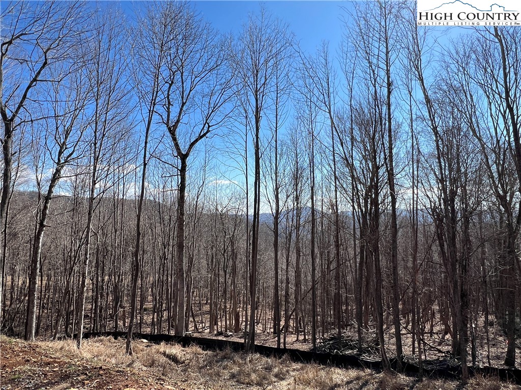 69 Poplar Forest Drive Boone, NC 28607 - Photo 16 of 18 a view of a backyard