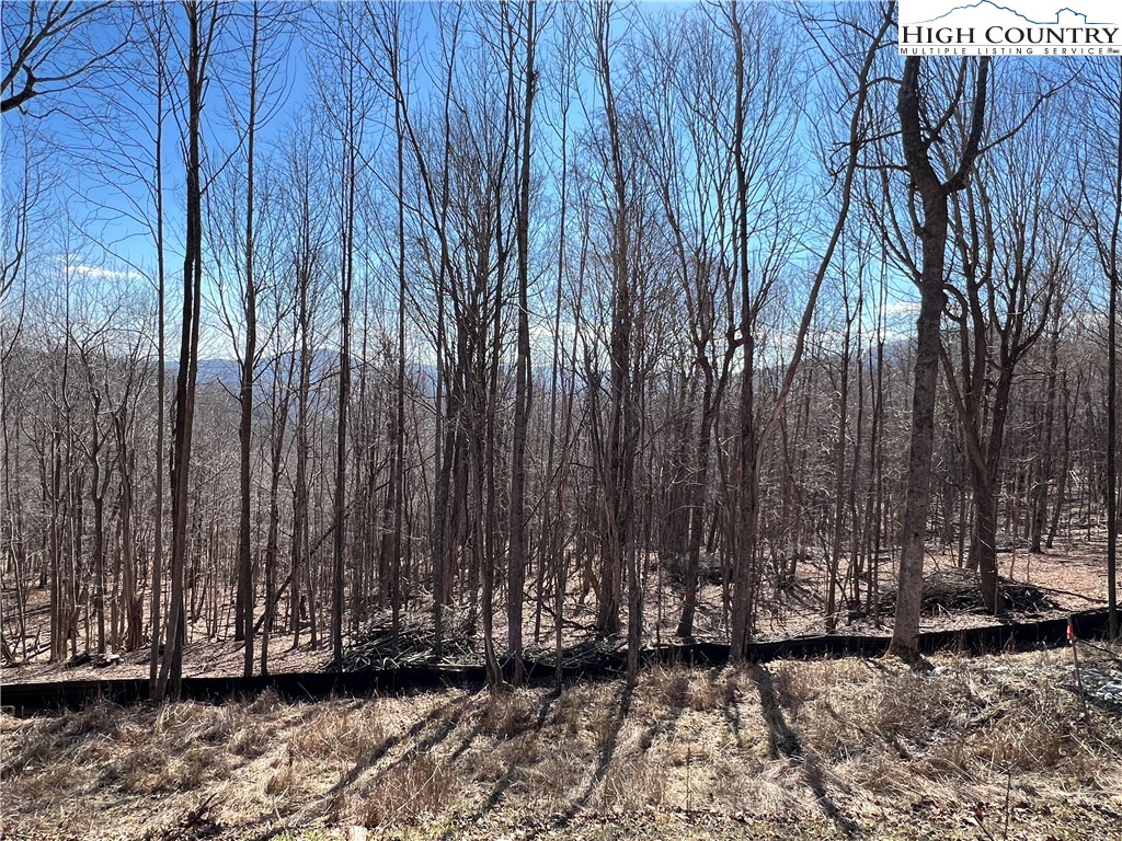 69 Poplar Forest Drive Boone, NC 28607 - Photo 17 of 18