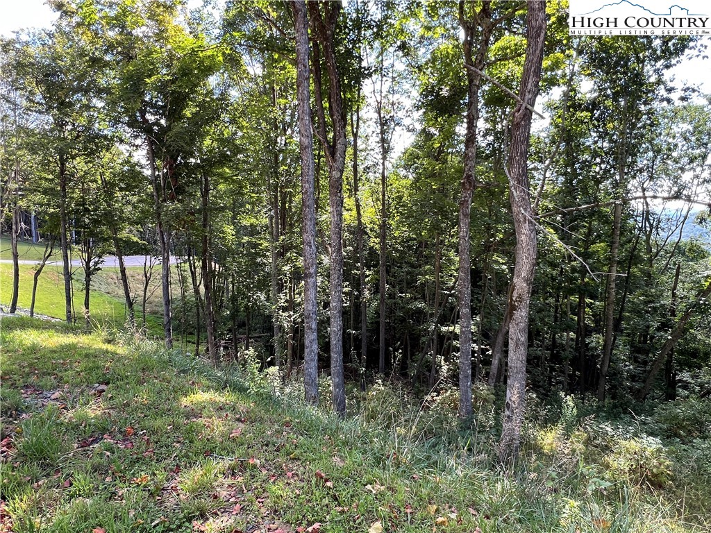 69 Poplar Forest Drive Boone, NC 28607 - Photo 8 of 18 a view of forest