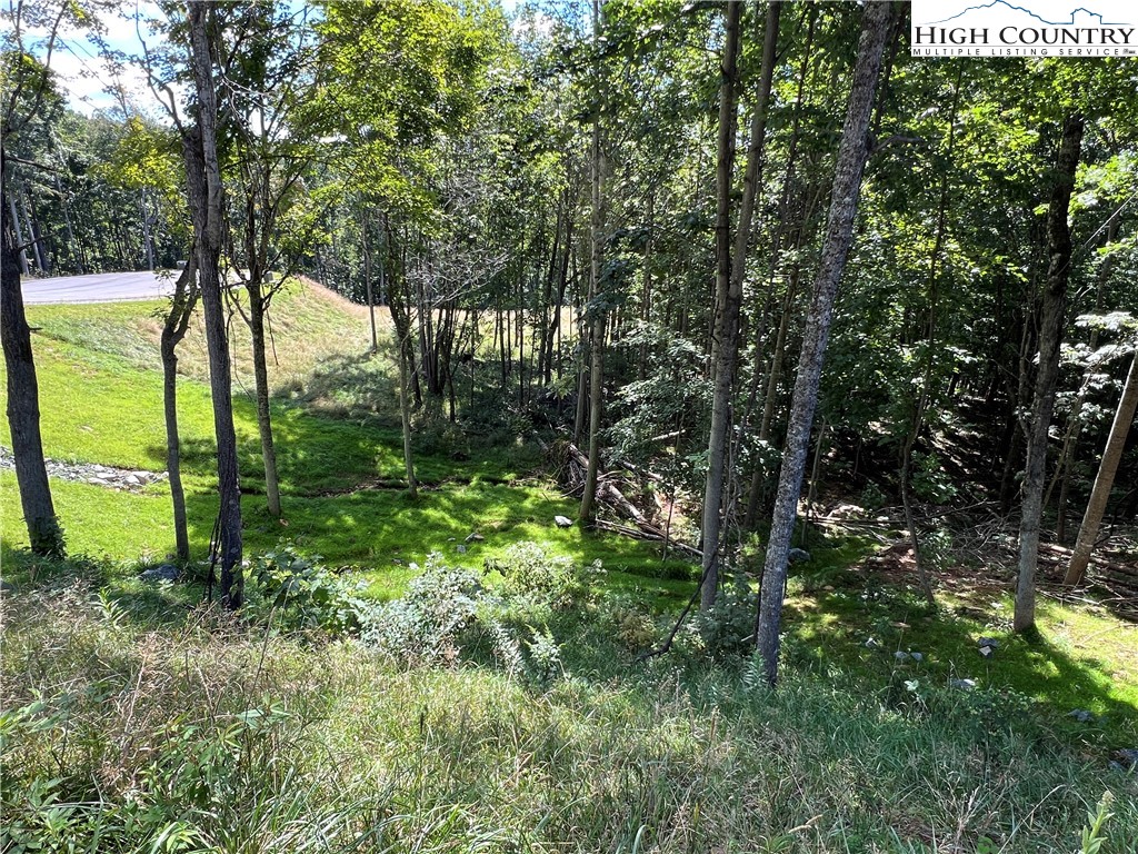 69 Poplar Forest Drive Boone, NC 28607 - Photo 9 of 18 a view of a garden