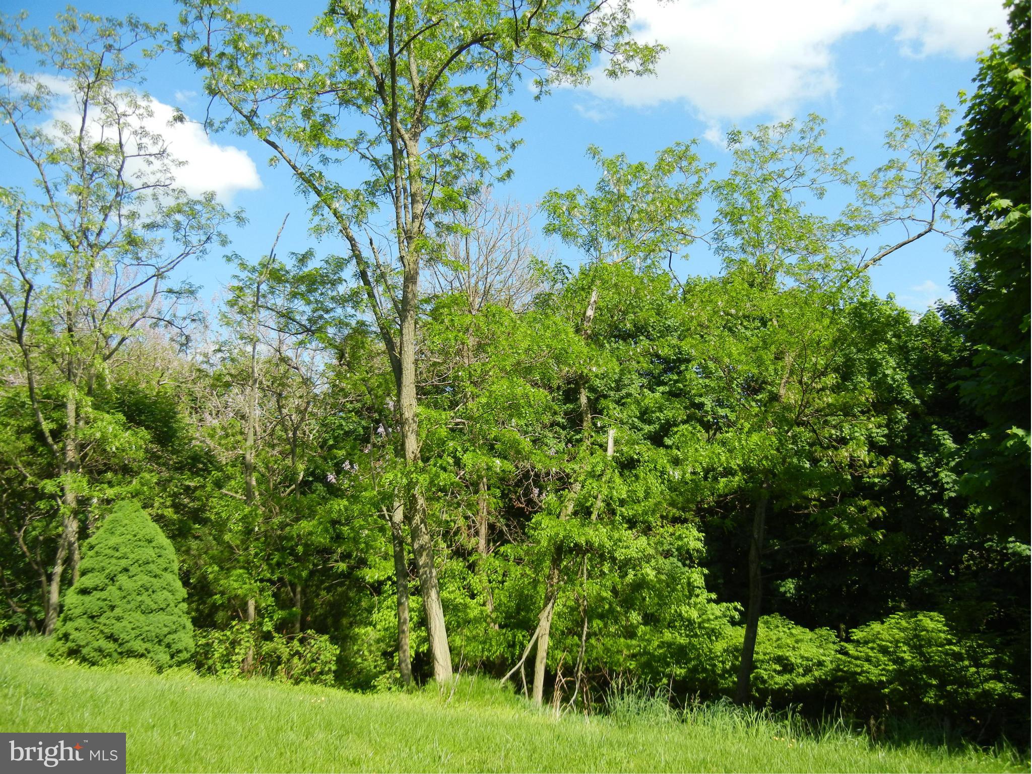 0 East Ridge Street Harpers Ferry, WV 25425 - Photo 4 of 22 View from side yard- private corner lot