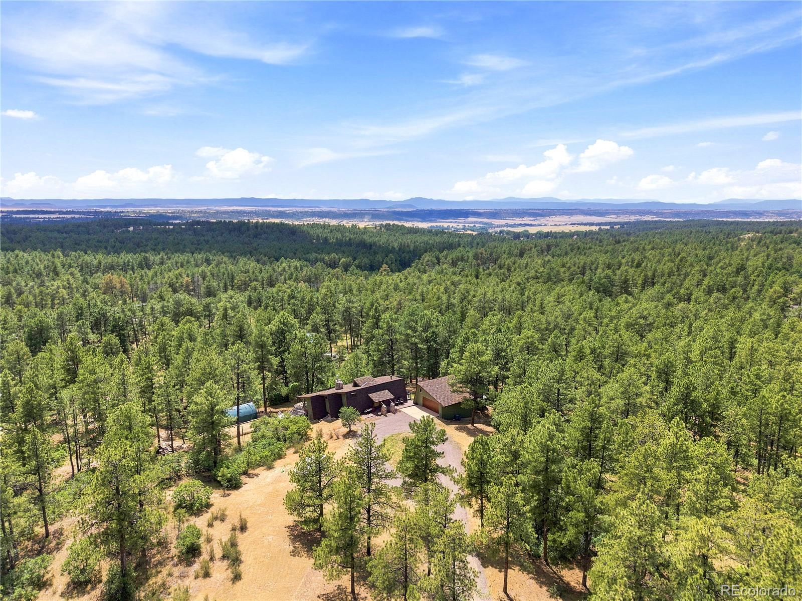 1125 Deerpath Road Franktown, CO 80116 - Photo 19 of 27