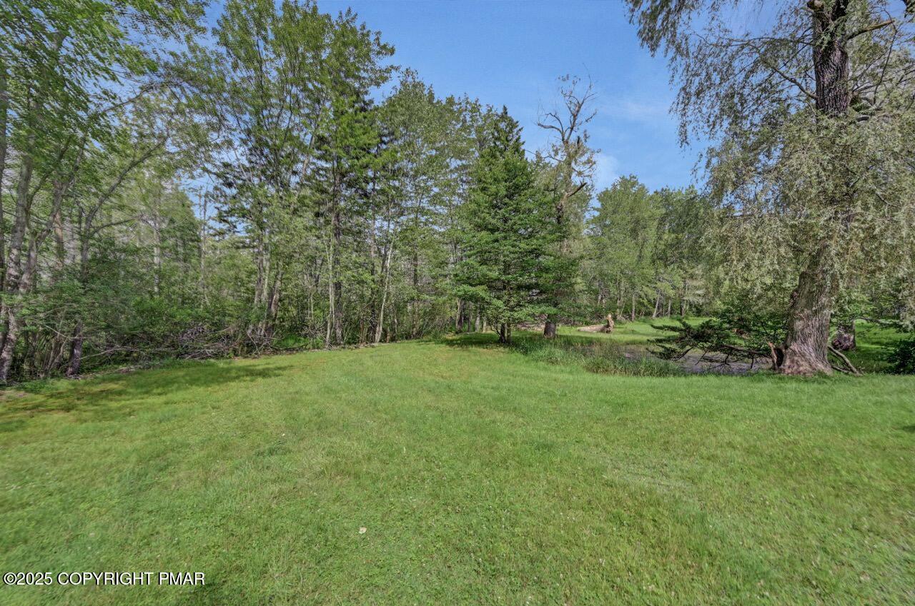 5142 Pine Tree Road Pocono Summit, PA 18346 - Photo 53 of 57 a view of a grassy field with trees