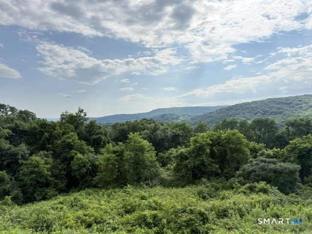 94 Quarry Ridge Road, Unit 94 Washington, CT 06777 - Photo 2 of 31 VIEW OFF DECK!