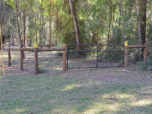 a view of a yard with large trees