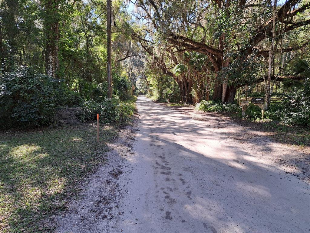 0 Southwest 17th Terrace Gainesville, FL 32608 - Photo 3 of 4 a view of outdoor space and yard