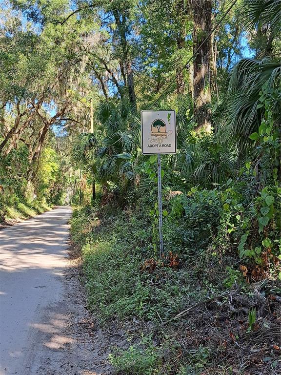 0 Southwest 17th Terrace Gainesville, FL 32608 - Photo 4 of 4 a view of a tree in a yard