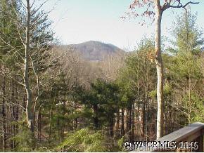 291 Hidden Hill Road Tryon, NC 28782 - Photo 5 of 5