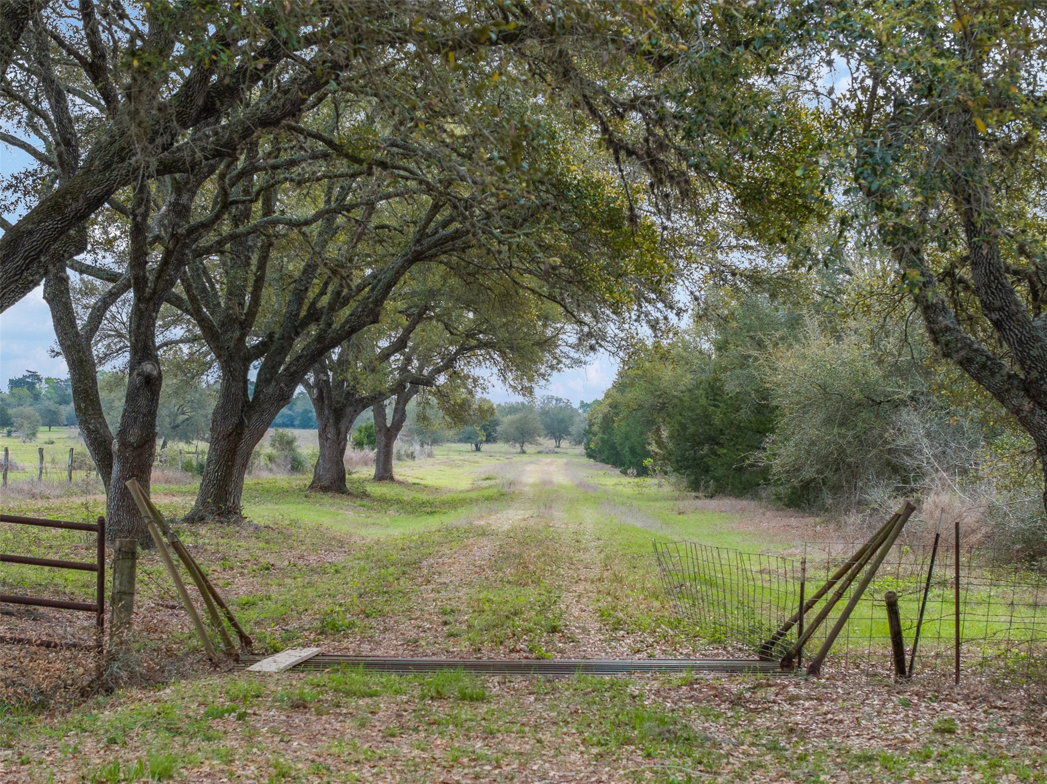 1017 New Ulm Road Cat Spring, TX 78933 - Photo 25 of 25