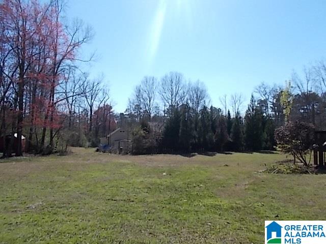 8075 Cavern Road Trussville, AL 35173 - Photo 6 of 29
