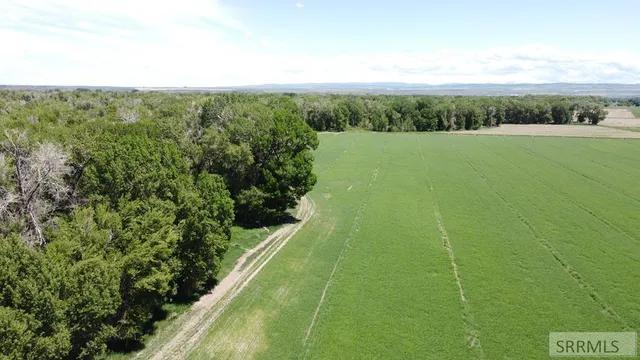 $2,365,000 | 4365 East 500 Road North, Rigby, ID 83442