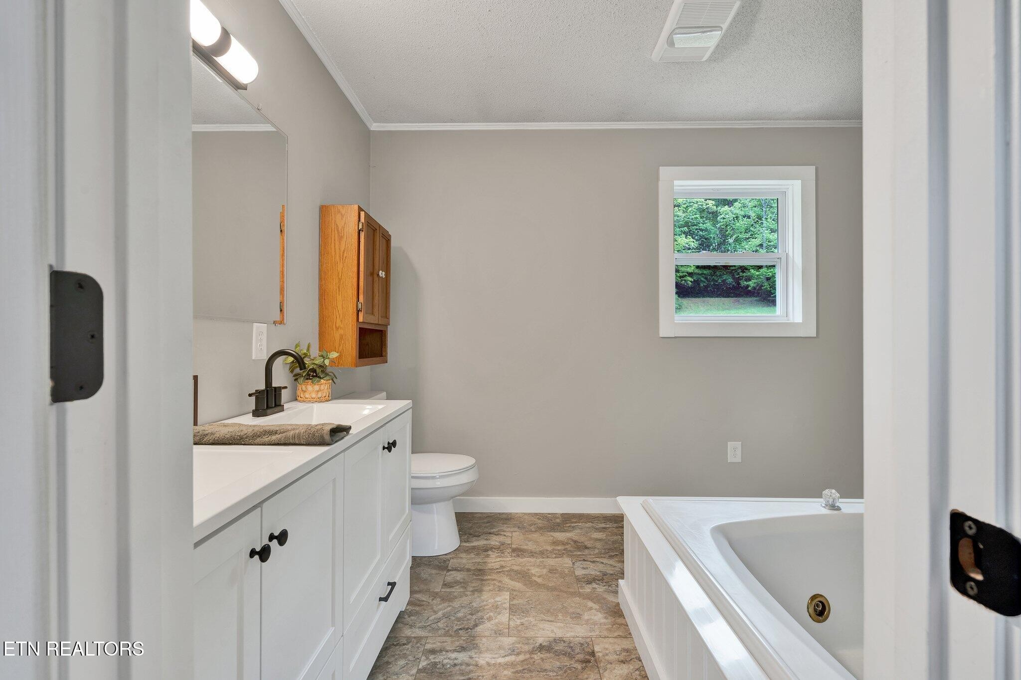 12408 North Nopone Valley Road Decatur, TN 37322 - Photo 18 of 54 a bathroom with a sink a toilet and a bathtub