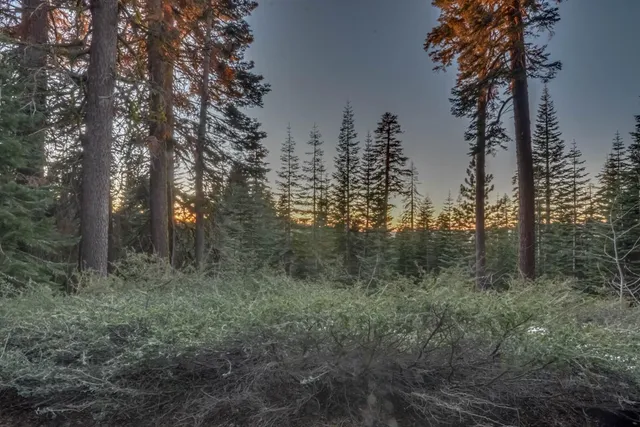 $36,500 | 0 Prather Meadow Road, Arnold, CA 95223