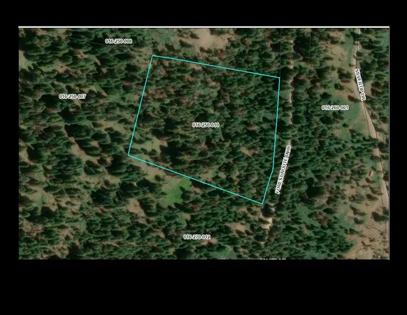 a view of a forest