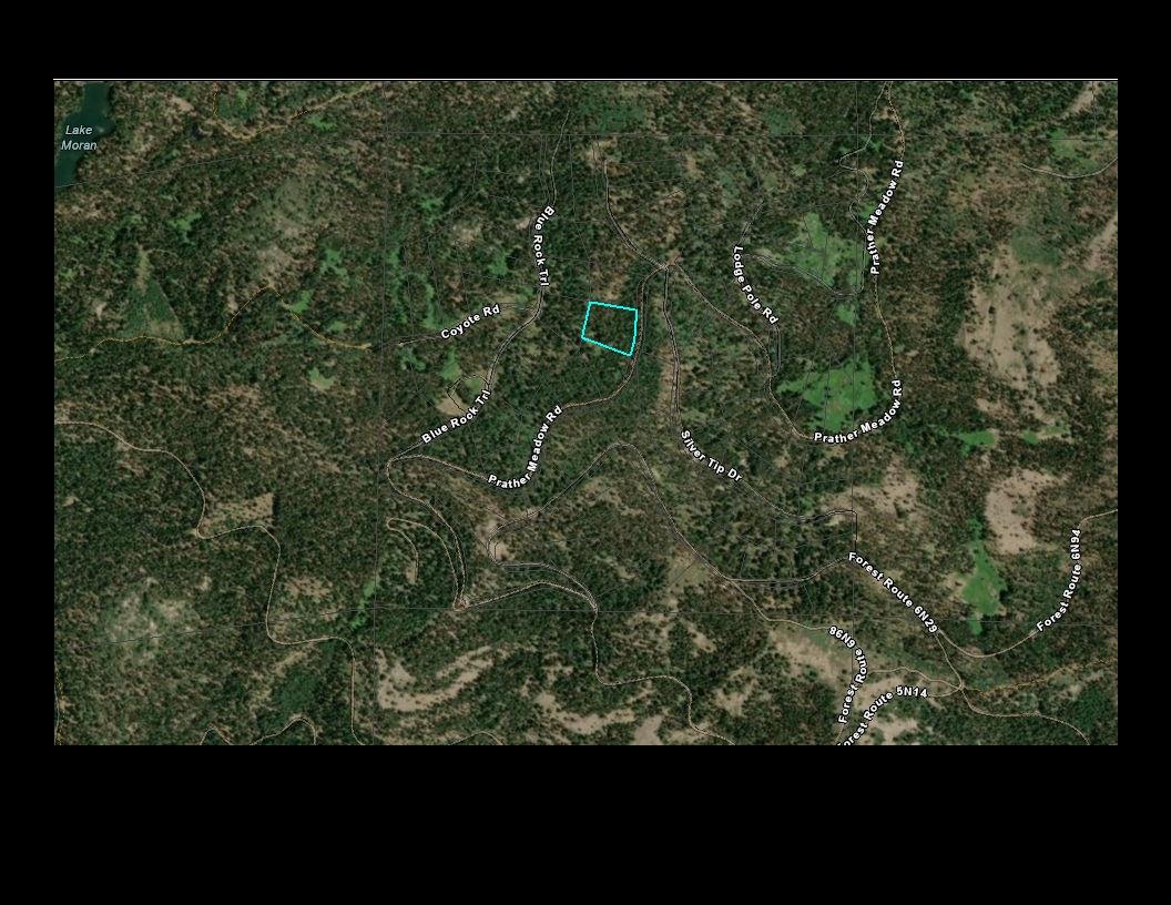 0 Prather Meadow Road Arnold, CA 95223 - Photo 14 of 15 a view of a yard