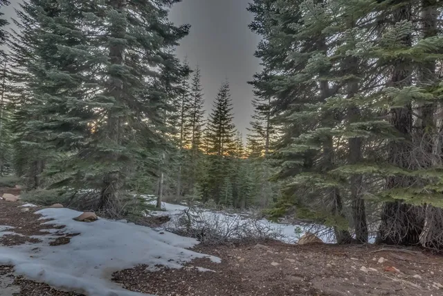 $36,500 | 0 Prather Meadow Road, Arnold, CA 95223