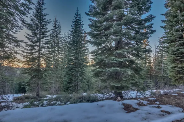 $36,500 | 0 Prather Meadow Road, Arnold, CA 95223