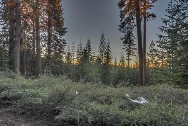 $36,500 | 0 Prather Meadow Road, Arnold, CA 95223