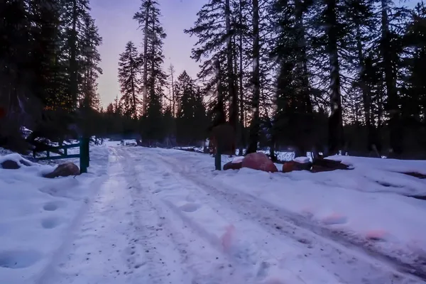 a view of a backyard with sitting area