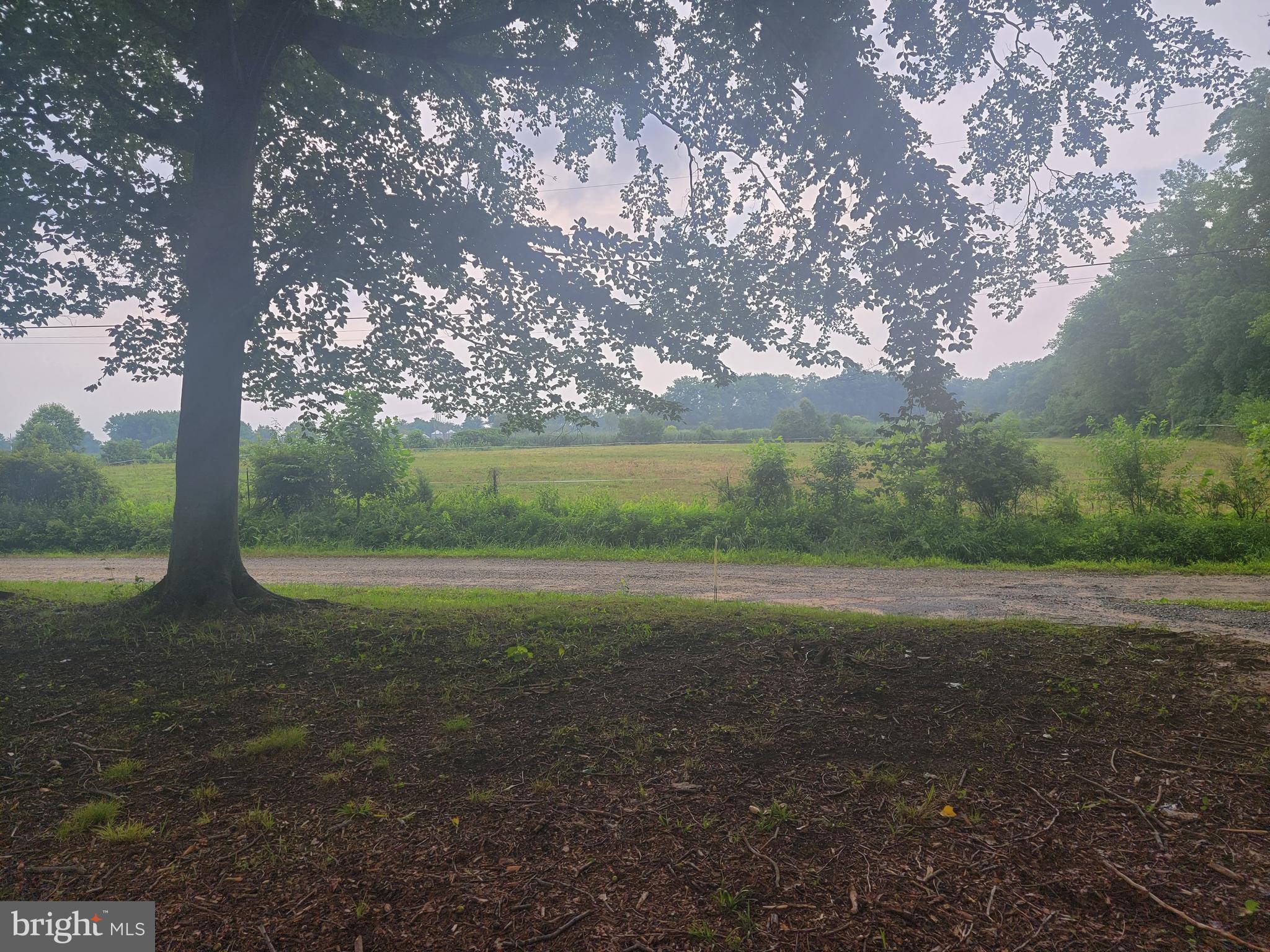 21 Mill Pond Road Salem, NJ 08079 - Photo 50 of 51
