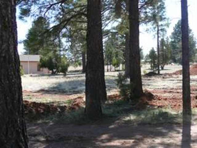 2187 Garnet Road Overgaard, AZ 85933 - Photo 2 of 2
