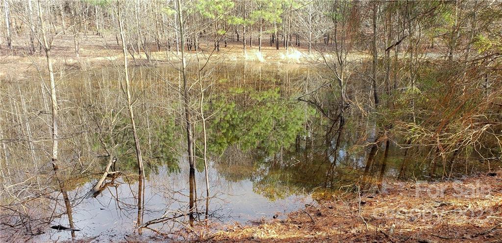 0 Brattonsville Road McConnells, SC 29726 - Photo 1 of 5 Gallery Image 1
