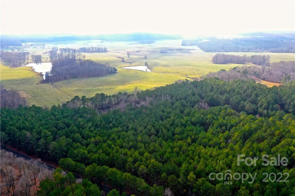 0 Brattonsville Road McConnells, SC 29726 - Photo 3 of 5 Gallery Image 3