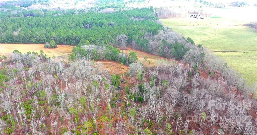 0 Brattonsville Road McConnells, SC 29726 - Photo 5 of 5 Gallery Image 5
