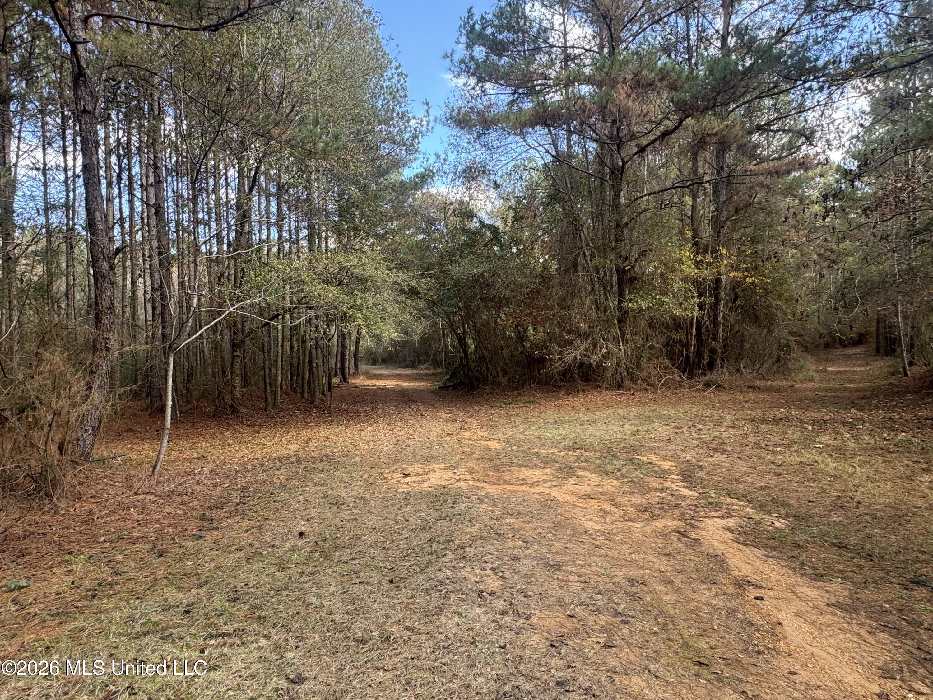 Mckenzie Road Tylertown, MS 39667 - Photo 10 of 50 10