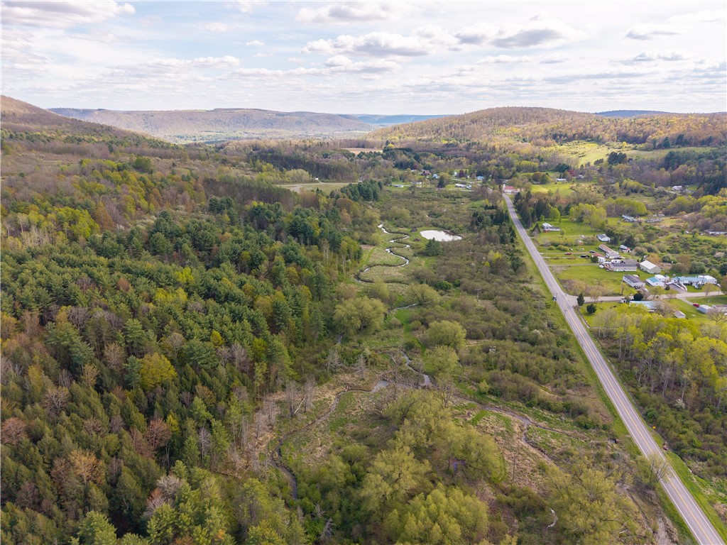 0 County Route 13 Bath, NY 14810 - Photo 5 of 26