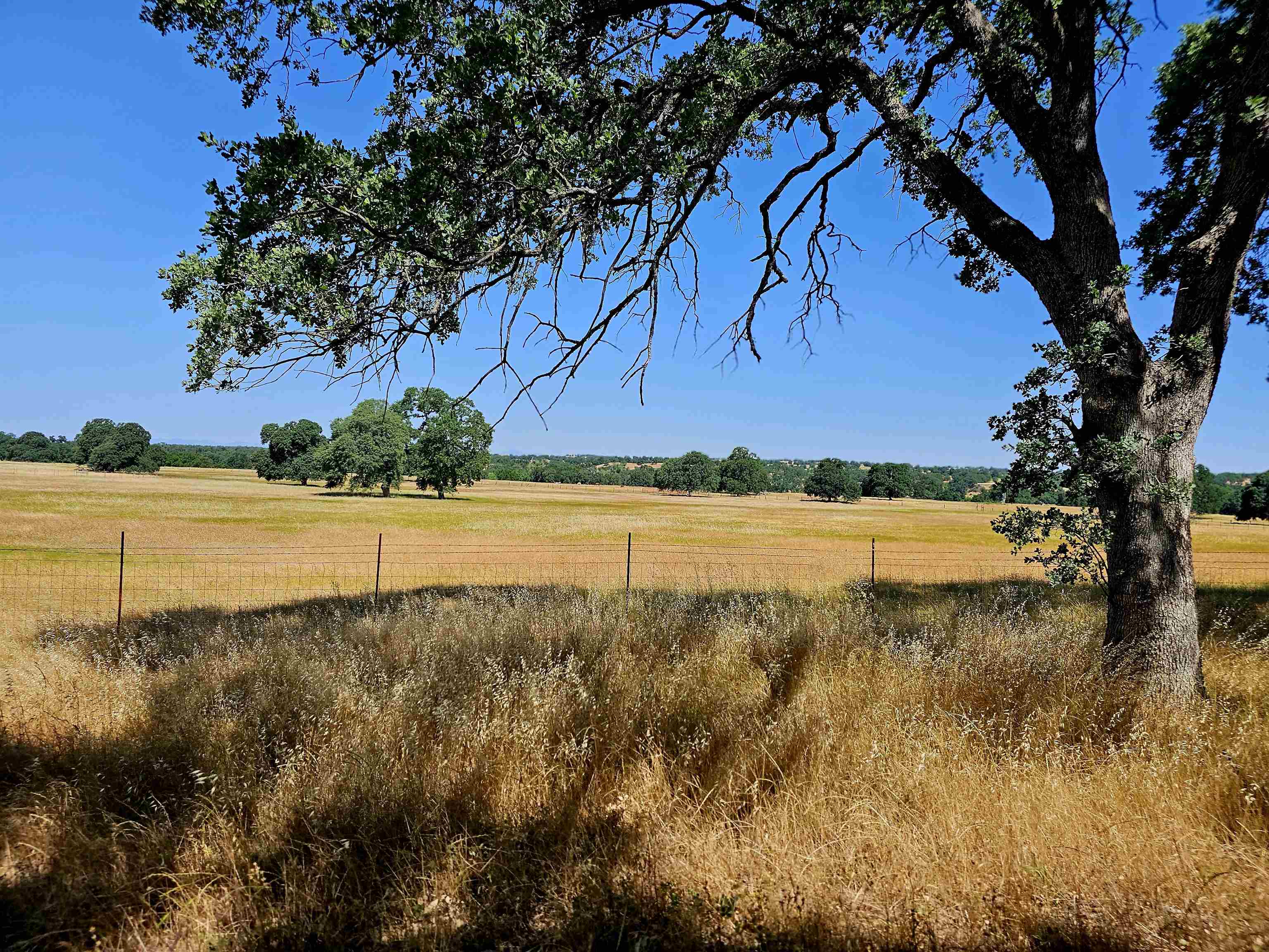 17300 Red Bank Road Red Bluff, CA 96080 - Photo 56 of 67