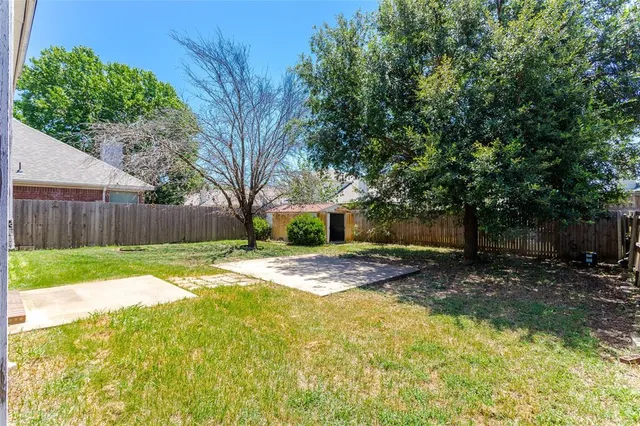 a view of a yard with plants and large tree