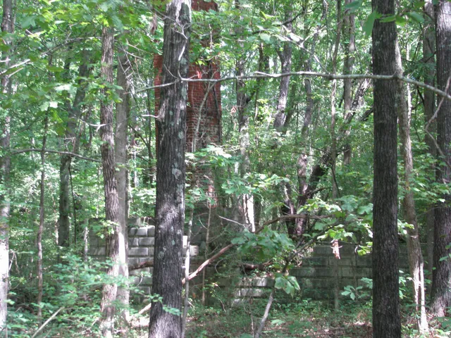 a backyard of a house with lots of trees