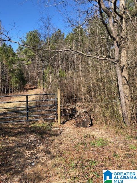 0 Blackjack Road, Unit 24 Trussville, AL 35173 - Photo 2 of 21