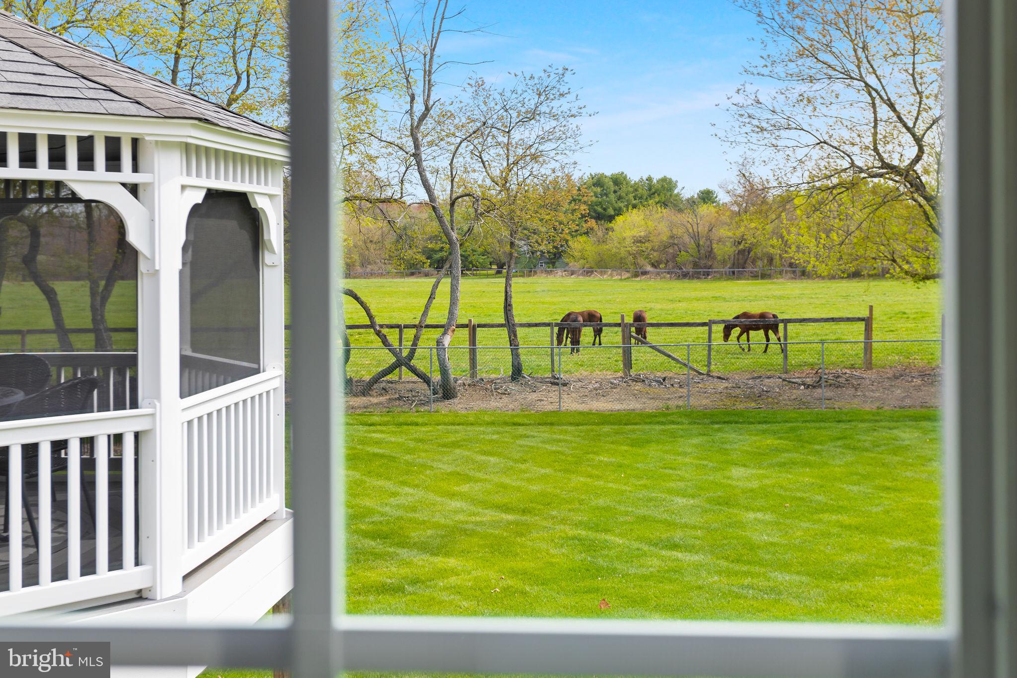 11 Nicholas Court Cream Ridge, NJ 08514 - Photo 17 of 67 Tranquil view of grazing horses.