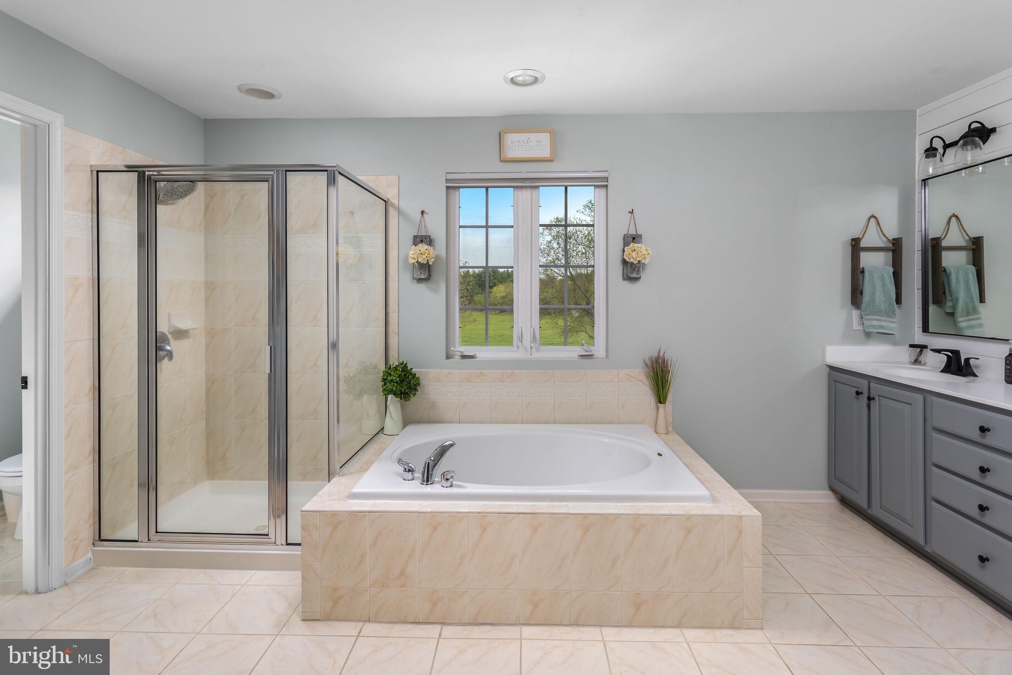 11 Nicholas Court Cream Ridge, NJ 08514 - Photo 33 of 67 Serene spa-like bathroom retreat.