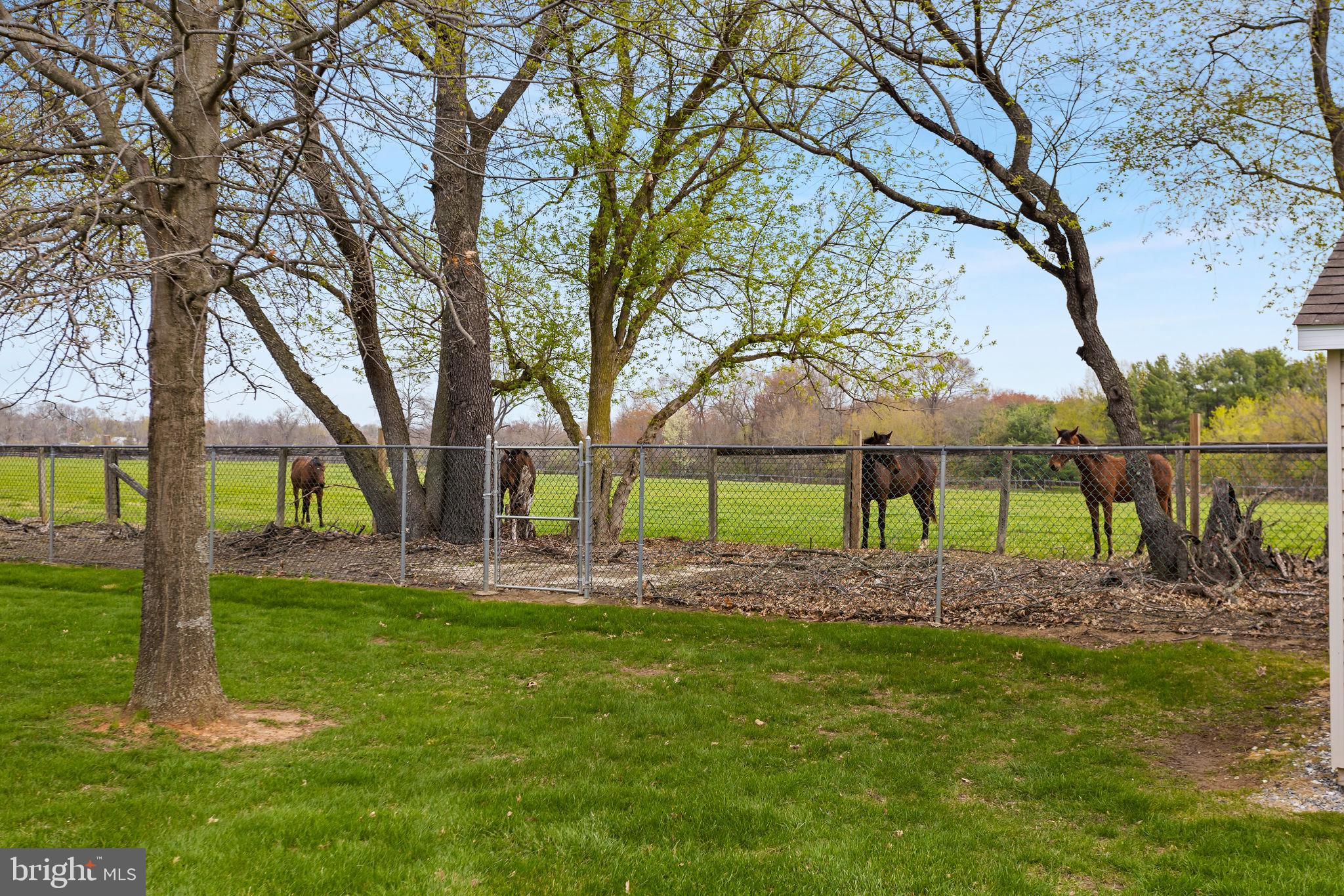 11 Nicholas Court Cream Ridge, NJ 08514 - Photo 57 of 67 Tranquil pasture with grazing horses.