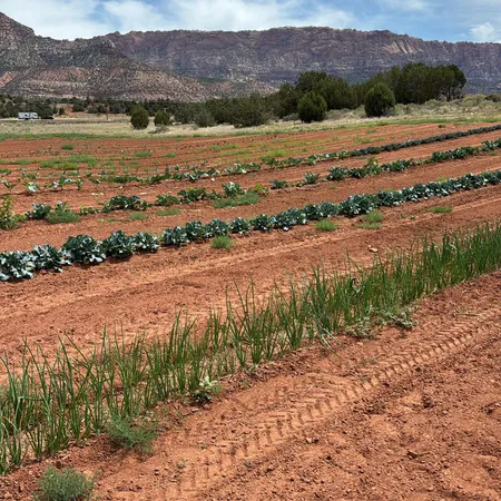 $1,100,000 | 1260 State Highway 59, Hurricane, UT 84737