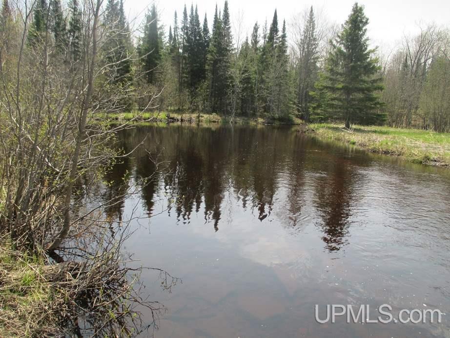 Tbd Johnson Creek Road Chatham, MI 49816 - Photo 4 of 28 Gallery Image 4