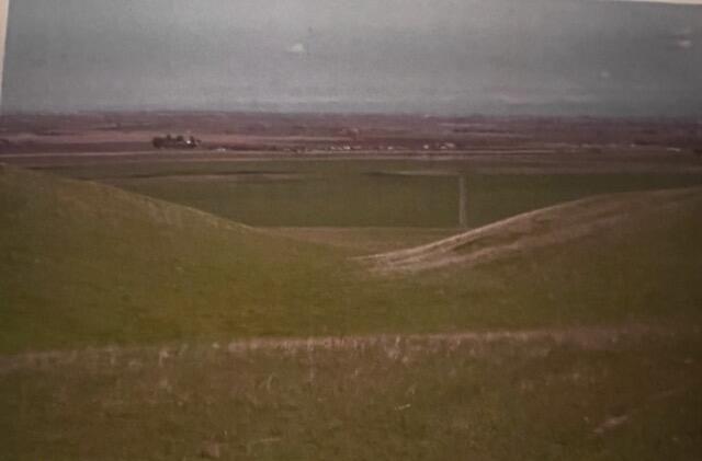 36565 South Bird Road Tracy, CA 95304 - Photo 8 of 11