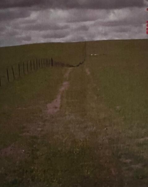 36565 South Bird Road Tracy, CA 95304 - Photo 9 of 11