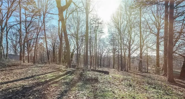 a view of a backyard with large trees