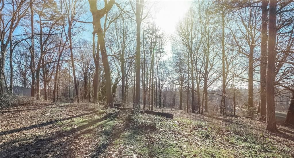 a view of a backyard with large trees